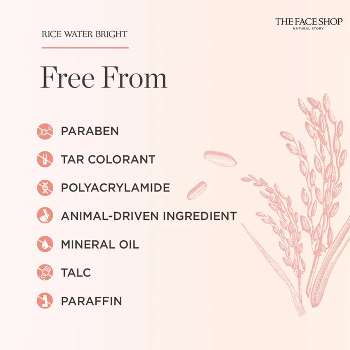 THE FACE SHOP RICE WATER BRIGH - High Luxury Skincare 评论和价格